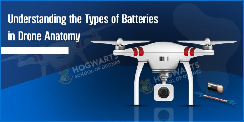 types of batteries in drone anatomy